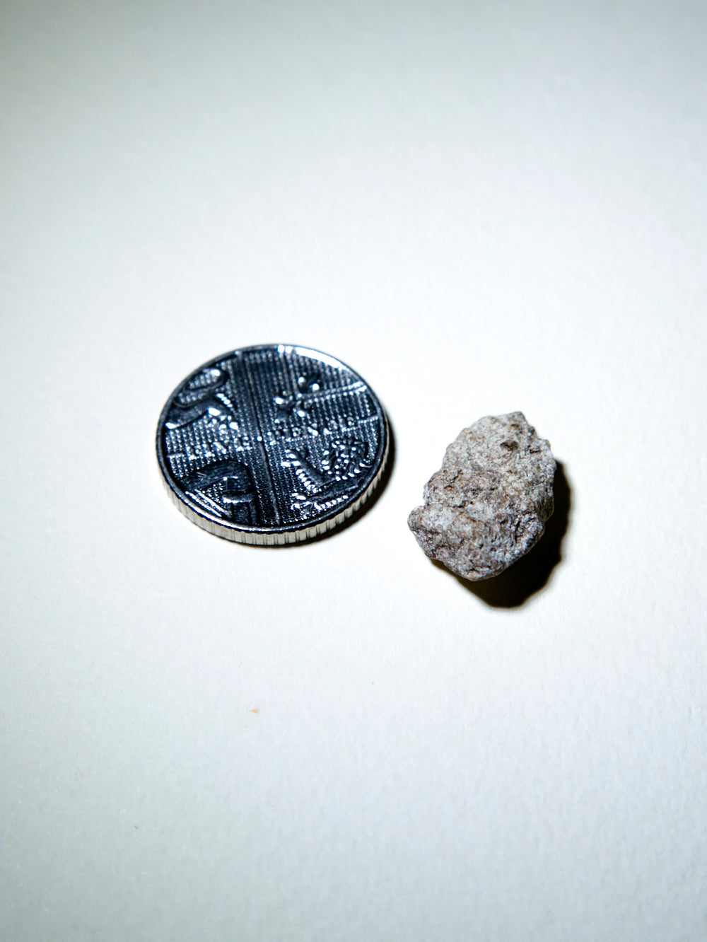 White Ambergris 0.16 g SOLD - Bloom Perfumery London